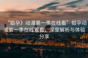 “姐孕》動(dòng)漫第一季在線看”姐孕動(dòng)漫第一季在線觀看，深度解析與體驗(yàn)分享
