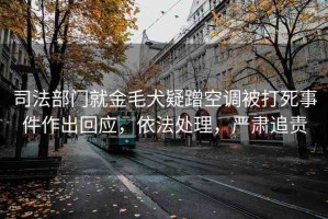 司法部門就金毛犬疑蹭空調被打死事件作出回應，依法處理，嚴肅追責