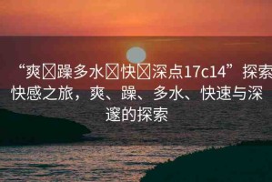 “爽?躁多水?快?深點(diǎn)17c14”探索快感之旅，爽、躁、多水、快速與深邃的探索