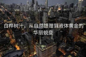 白樺樹(shù)汁，從自然饋贈(zèng)到液體黃金的華麗蛻變