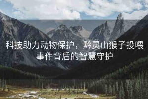 科技助力動物保護，黔靈山猴子投喂事件背后的智慧守護