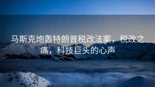 馬斯克炮轟特朗普稅改法案，稅改之痛，科技巨頭的心聲
