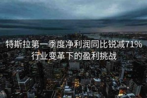 特斯拉第一季度凈利潤(rùn)同比銳減71%行業(yè)變革下的盈利挑戰(zhàn)