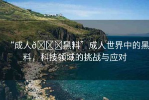 “成人??黑料”成人世界中的黑料，科技領(lǐng)域的挑戰(zhàn)與應(yīng)對