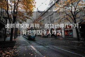 鹵鵝哥突發(fā)聲明，房貸已停幾個月，背后原因令人咋舌！