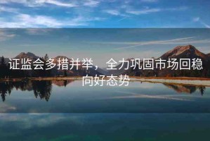 證監(jiān)會(huì)多措并舉，全力鞏固市場回穩(wěn)向好態(tài)勢
