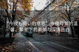 “今夜も母い的意思”今夜母愛的溫馨，繁星下的美景與深情告白
