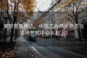 美禁售英偉達(dá)，中國(guó)芯片產(chǎn)業(yè)能否在這場(chǎng)危機(jī)中迎頭趕上？