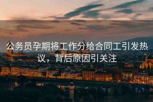 公務(wù)員孕期將工作分給合同工引發(fā)熱議，背后原因引關(guān)注