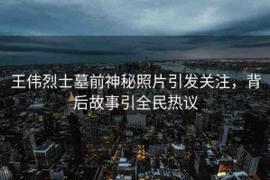 王偉烈士墓前神秘照片引發(fā)關(guān)注，背后故事引全民熱議
