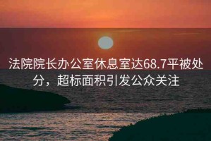 法院院長辦公室休息室達(dá)68.7平被處分，超標(biāo)面積引發(fā)公眾關(guān)注