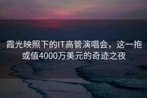 霞光映照下的IT高管演唱會(huì)，這一抱或值4000萬(wàn)美元的奇跡之夜