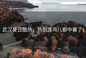 武漢夏日酷熱，熱到連鳥(niǎo)兒都中暑了！