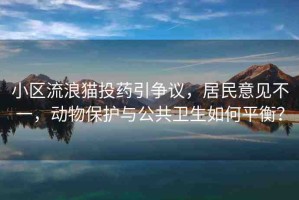 小區(qū)流浪貓投藥引爭(zhēng)議，居民意見不一，動(dòng)物保護(hù)與公共衛(wèi)生如何平衡？