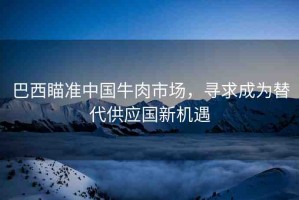巴西瞄準(zhǔn)中國(guó)牛肉市場(chǎng)，尋求成為替代供應(yīng)國(guó)新機(jī)遇