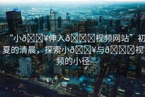 “小??伸入??視頻網(wǎng)站”初夏的清晨，探索小??與??視頻的小徑