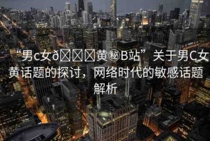 “男c女??黃秘B站”關(guān)于男C女黃話題的探討，網(wǎng)絡(luò)時代的敏感話題解析
