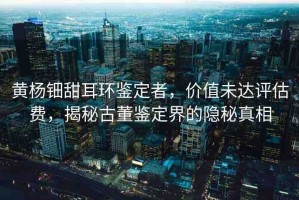 黃楊鈿甜耳環(huán)鑒定者，價值未達評估費，揭秘古董鑒定界的隱秘真相