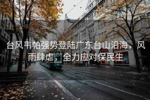臺(tái)風(fēng)韋帕強(qiáng)勢登陸廣東臺(tái)山沿海，風(fēng)雨肆虐，全力應(yīng)對(duì)保民生