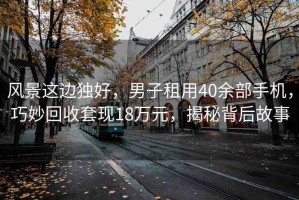 風(fēng)景這邊獨好，男子租用40余部手機，巧妙回收套現(xiàn)18萬元，揭秘背后故事