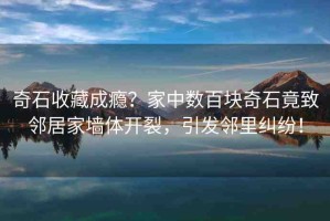 奇石收藏成癮？家中數(shù)百塊奇石竟致鄰居家墻體開裂，引發(fā)鄰里糾紛！