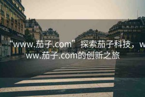 “www.茄子.com”探索茄子科技，www.茄子.com的創(chuàng)新之旅