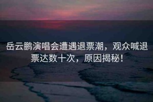 岳云鵬演唱會遭遇退票潮，觀眾喊退票達數十次，原因揭秘！