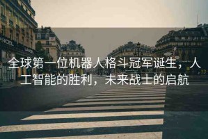 全球第一位機(jī)器人格斗冠軍誕生，人工智能的勝利，未來戰(zhàn)士的啟航