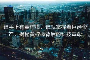 誰(shuí)手上有黃檸檬，誰(shuí)就掌握著巨額資產(chǎn)，揭秘黃檸檬背后的科技革命