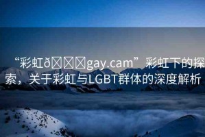 “彩虹??gay.cam”彩虹下的探索，關(guān)于彩虹與LGBT群體的深度解析