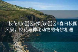 “?；ㄓ??揉我??春日校園風(fēng)景，校花與神秘動(dòng)物的奇妙相遇