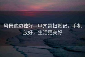 風(fēng)景這邊獨好—甲亢哥掃貨記，手機放好，生活更美好