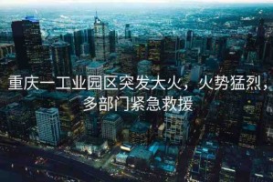 重慶一工業(yè)園區(qū)突發(fā)大火，火勢(shì)猛烈，多部門緊急救援