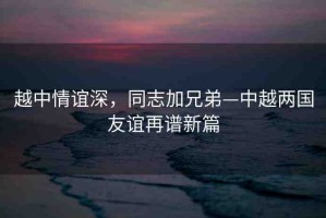 越中情誼深，同志加兄弟—中越兩國友誼再譜新篇