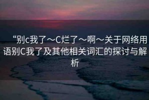 “別c我了～C爛了～啊～關(guān)于網(wǎng)絡(luò)用語(yǔ)別C我了及其他相關(guān)詞匯的探討與解析