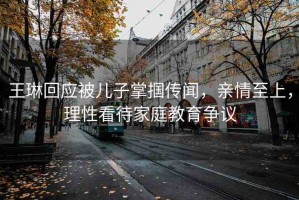 王琳回應(yīng)被兒子掌摑傳聞，親情至上，理性看待家庭教育爭議