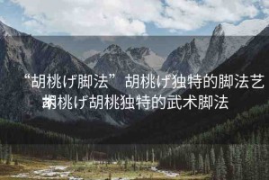 “胡桃げ腳法”胡桃げ獨特的腳法藝術(shù)
胡桃げ胡桃獨特的武術(shù)腳法