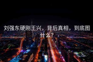 劉強(qiáng)東硬剛王興，背后真相，到底圖什么？
