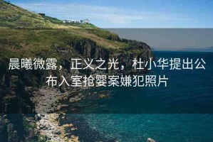 晨曦微露，正義之光，杜小華提出公布入室搶嬰案嫌犯照片