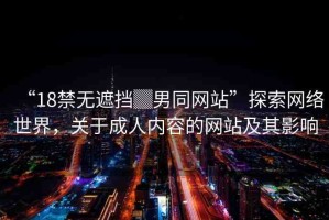 “18禁無遮擋▓男同網(wǎng)站”探索網(wǎng)絡(luò)世界，關(guān)于成人內(nèi)容的網(wǎng)站及其影響