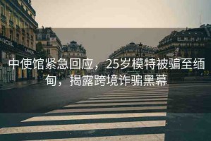 中使館緊急回應(yīng)，25歲模特被騙至緬甸，揭露跨境詐騙黑幕