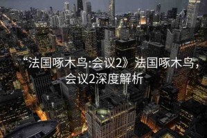 “法國啄木鳥:會議2》法國啄木鳥，會議2深度解析