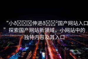 “小??伸進(jìn)??國產(chǎn)網(wǎng)站入口”探索國產(chǎn)網(wǎng)站新領(lǐng)域，小網(wǎng)站中的獨(dú)特內(nèi)容及其入口