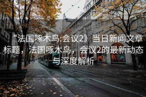 “法國啄木鳥:會議2》當(dāng)日新聞文章標(biāo)題，法國啄木鳥，會議2的最新動態(tài)與深度解析