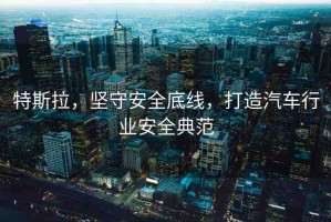 特斯拉，堅(jiān)守安全底線，打造汽車行業(yè)安全典范