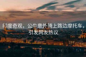 印度奇觀，公牛意外騎上路邊摩托車，引發(fā)網(wǎng)友熱議