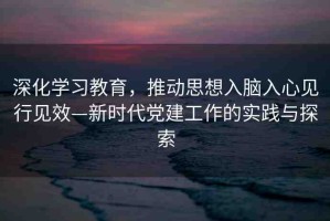 深化學(xué)習(xí)教育，推動(dòng)思想入腦入心見(jiàn)行見(jiàn)效—新時(shí)代黨建工作的實(shí)踐與探索