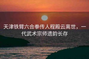 天津鐵臂六合拳傳人程殿云離世，一代武術(shù)宗師遺韻長(zhǎng)存