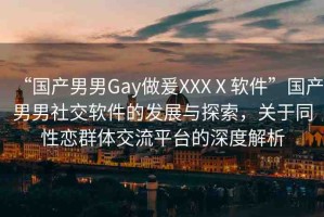 “國(guó)產(chǎn)男男Gay做爰XXXⅩ軟件”國(guó)產(chǎn)男男社交軟件的發(fā)展與探索，關(guān)于同性戀群體交流平臺(tái)的深度解析