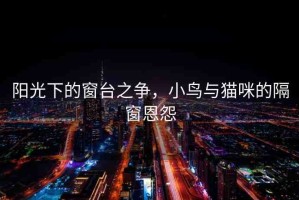 陽光下的窗臺之爭，小鳥與貓咪的隔窗恩怨